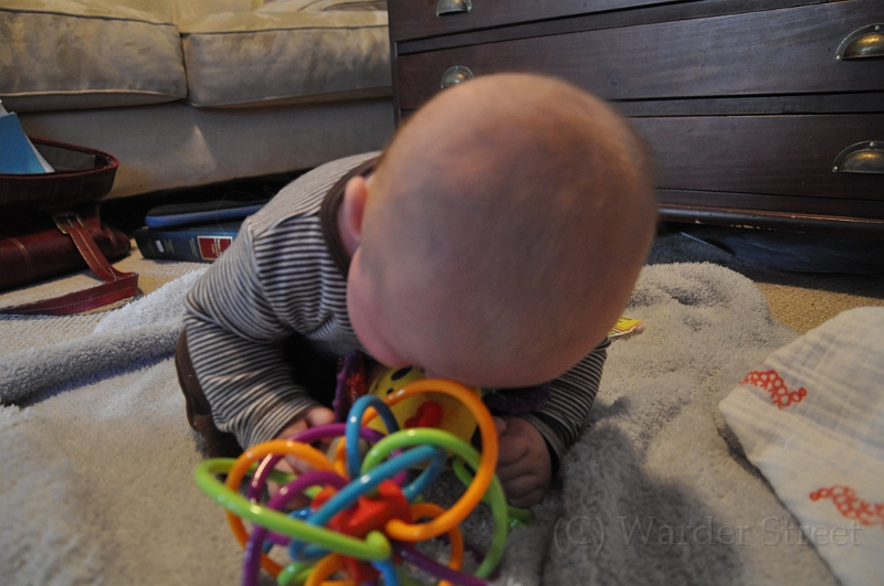 William's Seventeenth Week 09.jpg